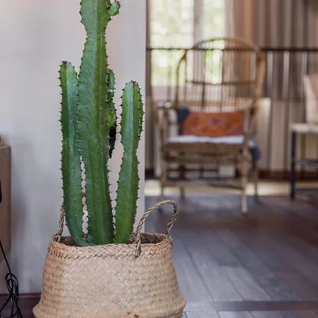 Apartman La Vie - Palais, Plages, Clim, Terrasse Cannes